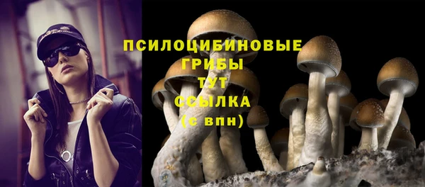 кокс Баксан